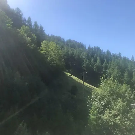 Selbsteg